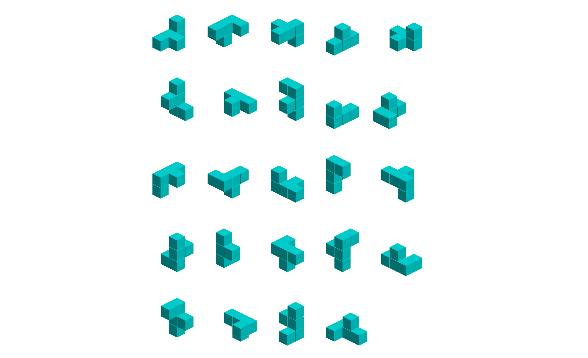 shape with 24 rotations